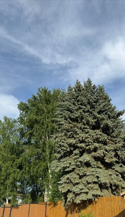 Дача на берегу Ишима