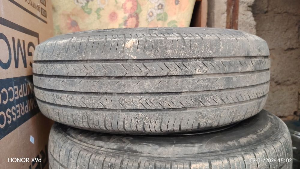 Vossen Holati Yangi kop taqilmagan