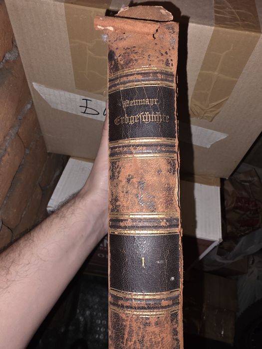 История на Земята Erdgeschichte от Мелхиор Ноймайер 1895