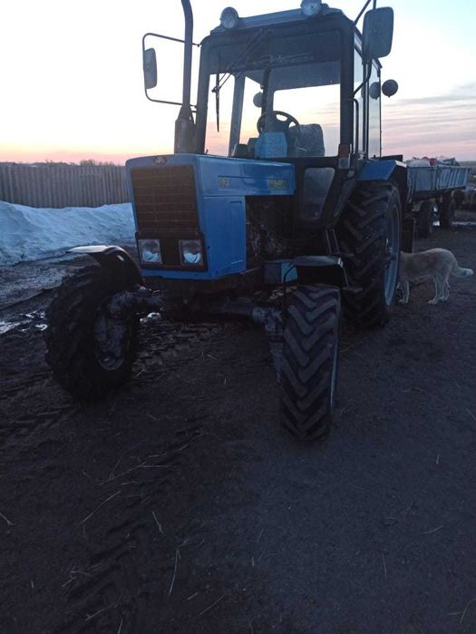 Беларус, трактор мтз 82.1