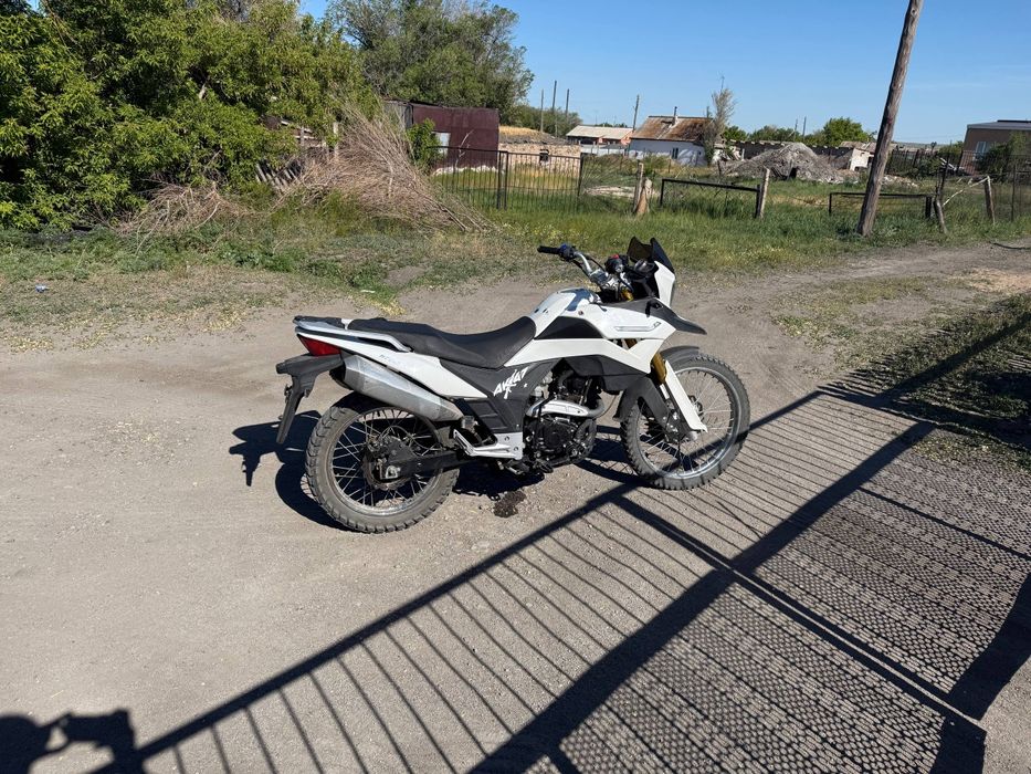 racer ranger 250