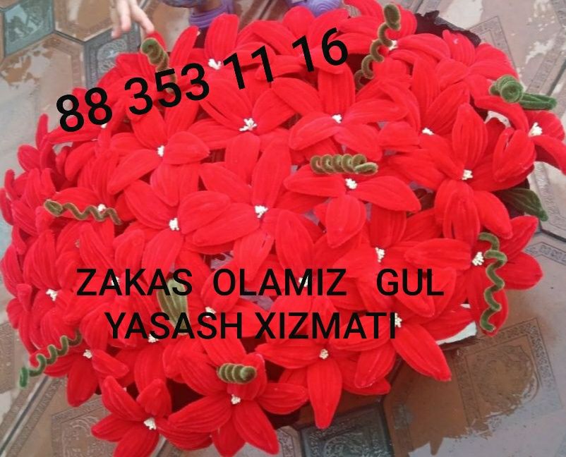 TABRIK  GULLARI  dekarativ gullar