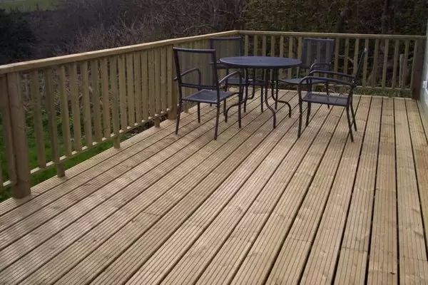 Лиственница сибирская