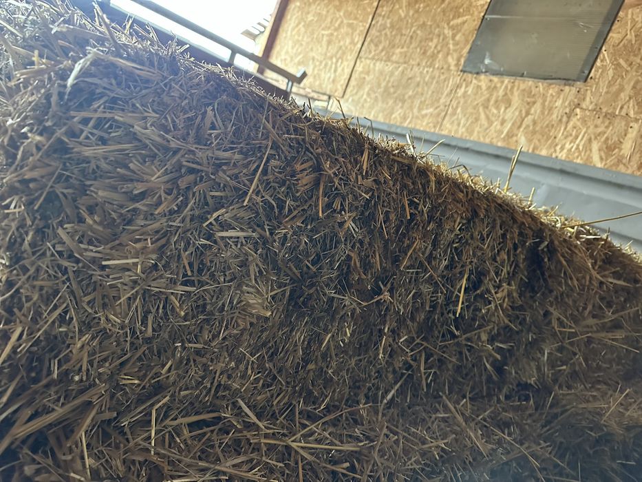 Baloti de Paie pentru asternut caini, pasari, animale / Parlit Porcul