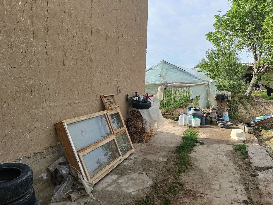 Nazarbek Turkiston da 8 sotix dala xovli sotiladi