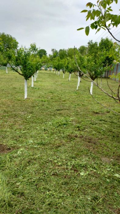 Gospodărie + teren agricol, Jiana Mare, jud. Mehedinți