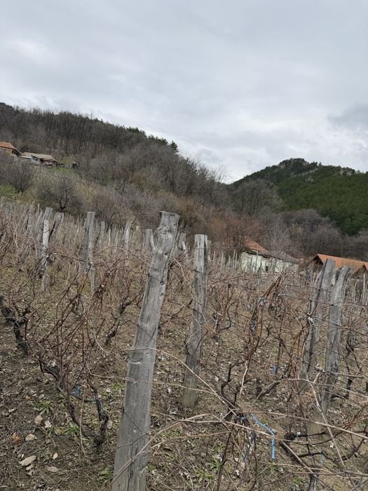 Vand teren intravilan 6915 Mp,Comuna Musetesti,Sat Stancesti , Gorj