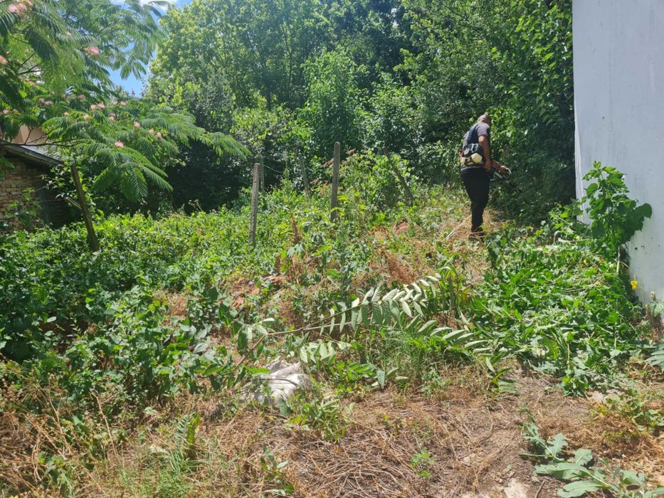 Косене почистване на дворове