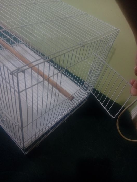 Qushlar uchun qafas sotiladi