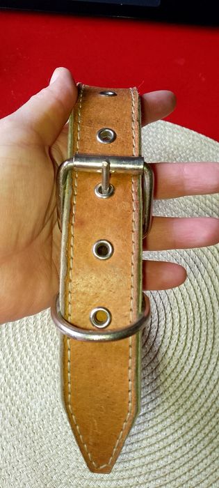 Кожаный ошейник для собаки.