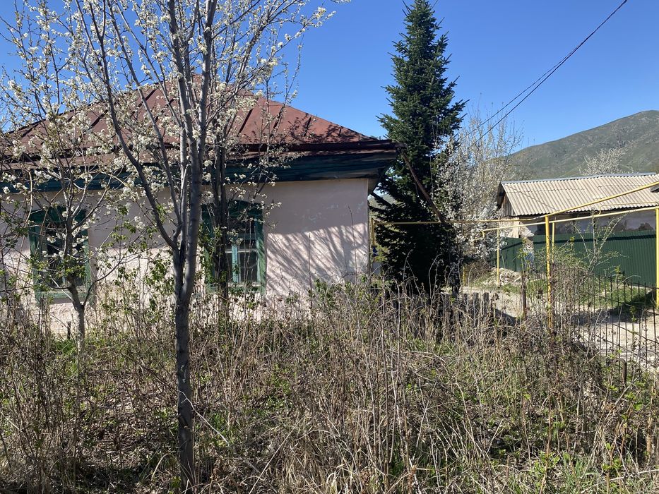 Жер уи сатылады корем десениздер