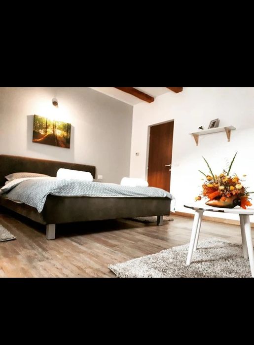 Închiriere vilă  – ideală pentru regim hotelier, business
