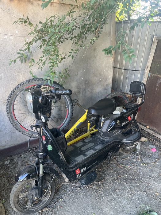 электор велик  65000