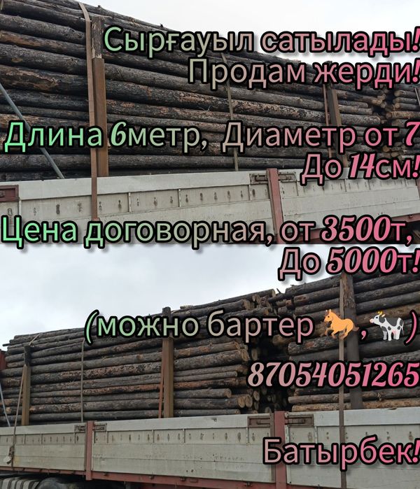 Шөп! Сено  в рулонах и тюках