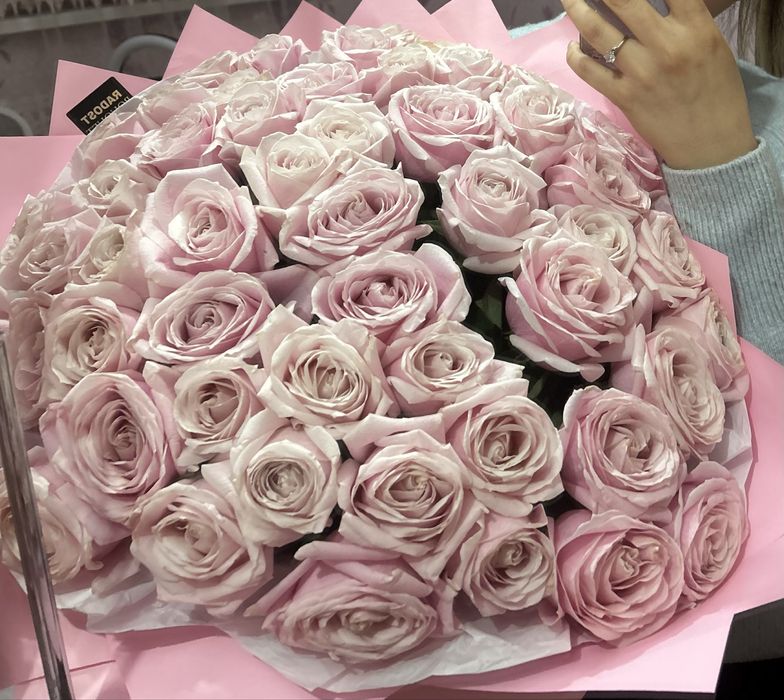 51 голландских роз