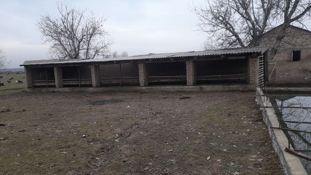 33 sotaxlik uchastka