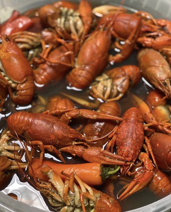 Живые раки,доставка раков,краб камчатский,креветки