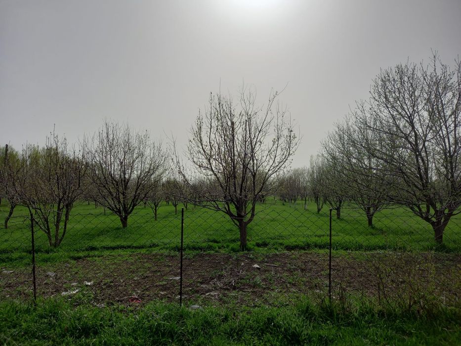 Жер учаскесі сатылады