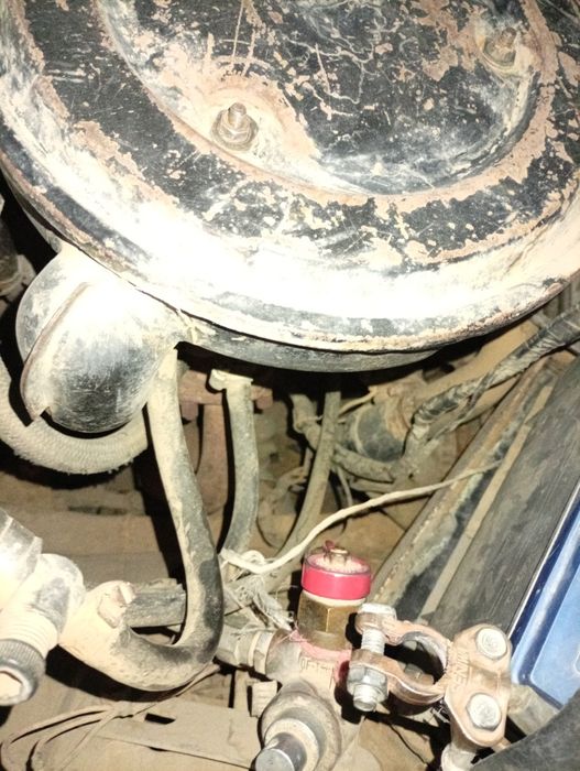 Jiguli zabchastlar bor