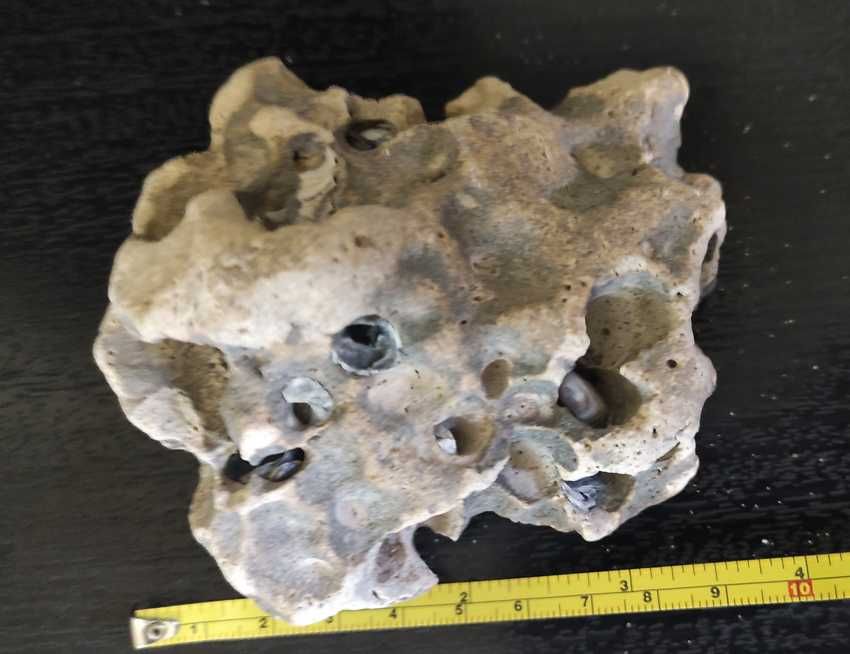 комплект декоративни Камъни за Аквариум