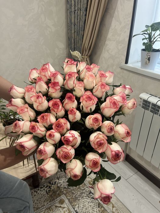 51шт Роза.