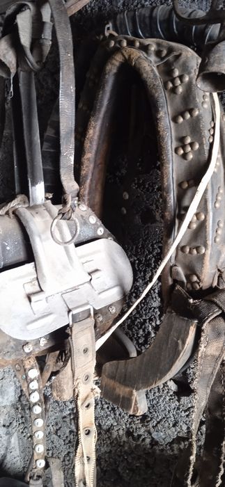 Коженный хомут полый комплект продается