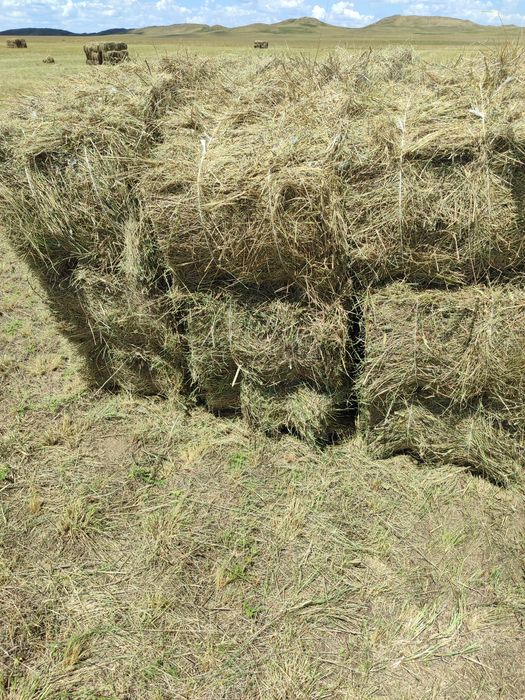 Караганда сено с доставкой