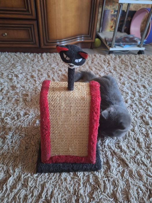 Когтеточка с игрушкой,лежала и клетка для хомяка