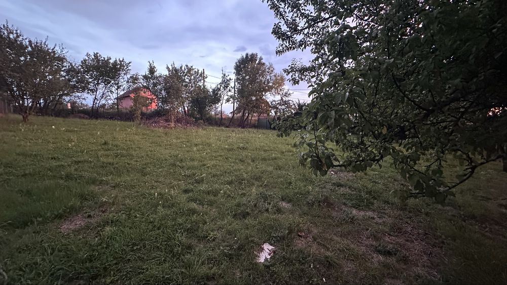 Teren intravilan Sălicea , Cluj