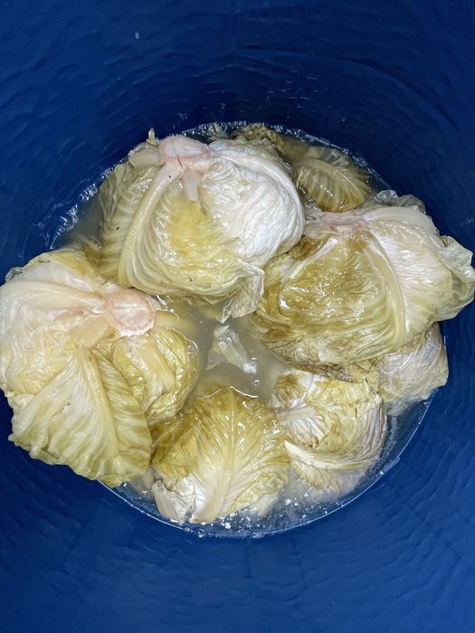 Varza murata, calitate si cantitate