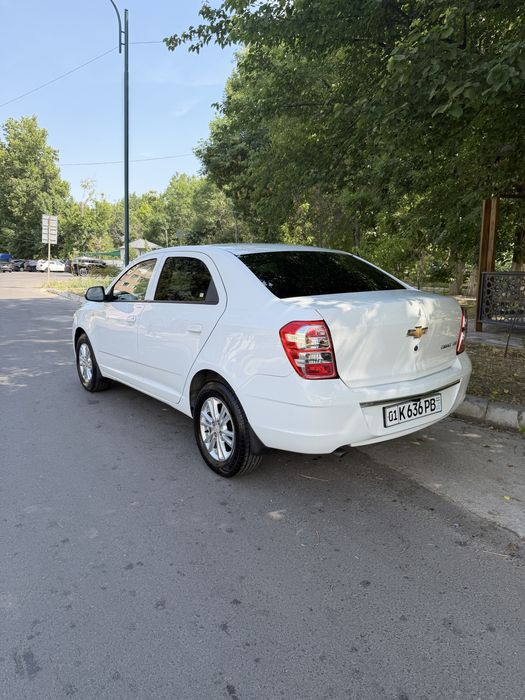 Kobild 2024 yil 7000 km yurgan