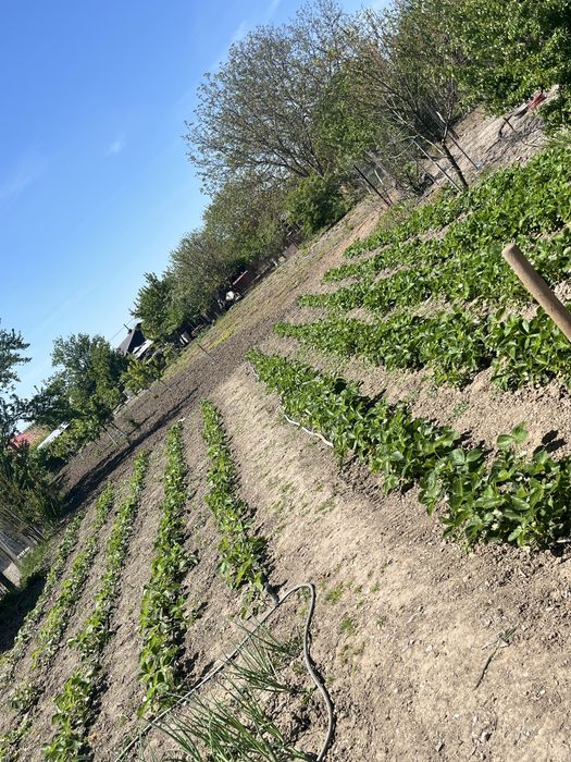 Casă de vânzare Com. Comana Giurgiu