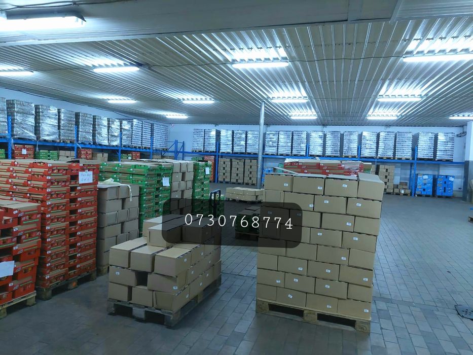 Rafturi metalice profesionale 277*78