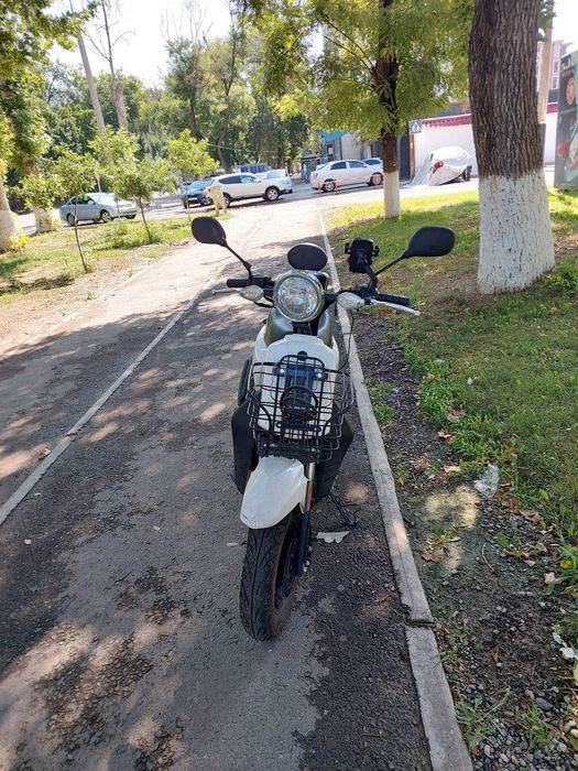 Moped Miniclove 49m3