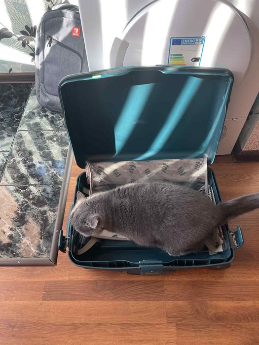 Куфар за кабинен  багаж на Samsonite