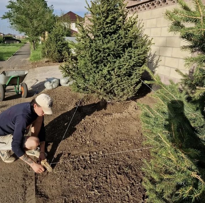 Деревья, цветы, газон
