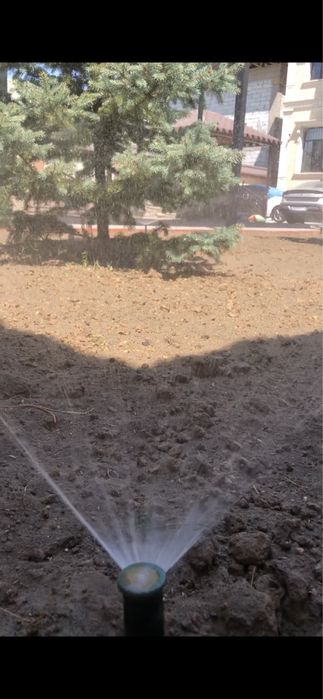 Газон Автополив.