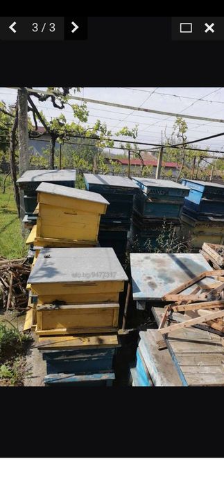 Кошери Дадан Блат 12 и 10 рамкови