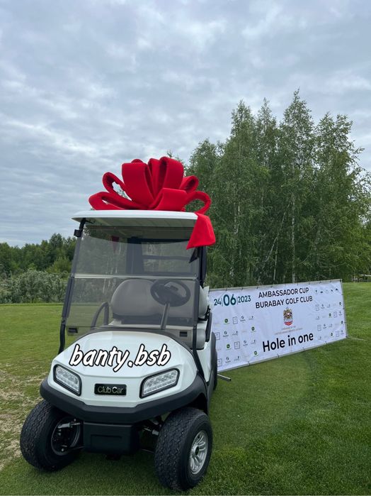 Бант на машину