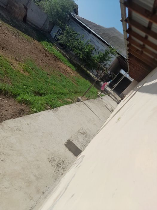 8 сотих, 9 хонали хонадон