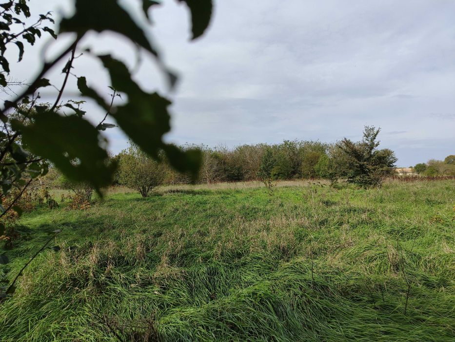 Стара къща в Челопечене