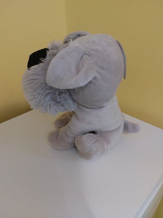 Плюшено кученце - Италия