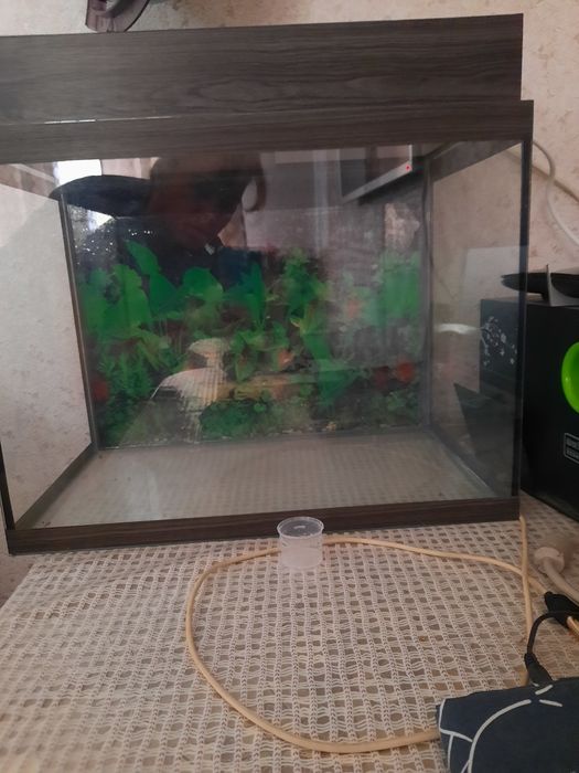 Срочно продам мебель,аквариум