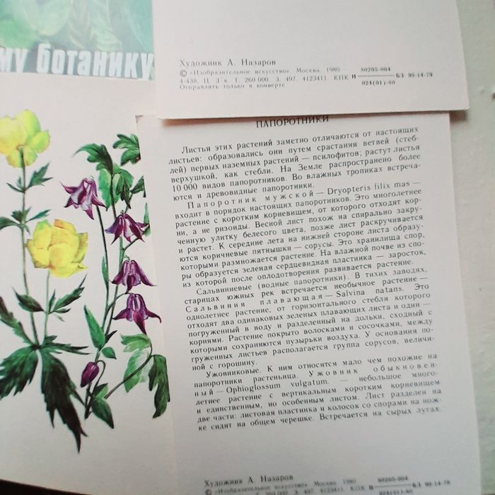 Открытки юному ботанику