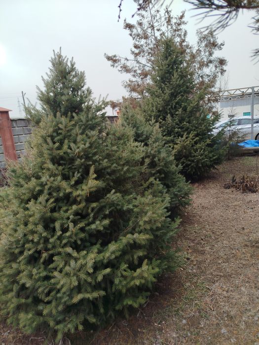 Лвррофддыоыововововоао