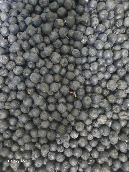 Черноплодная рябина