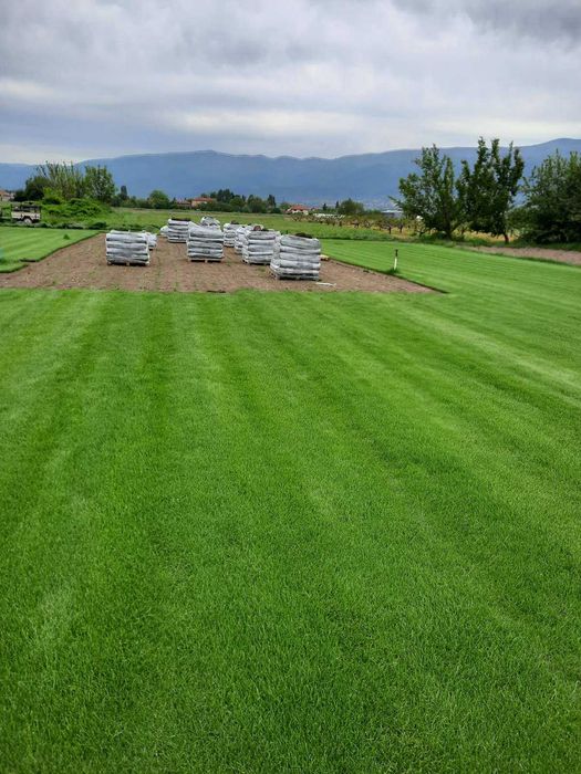 Тревен чим/райграс