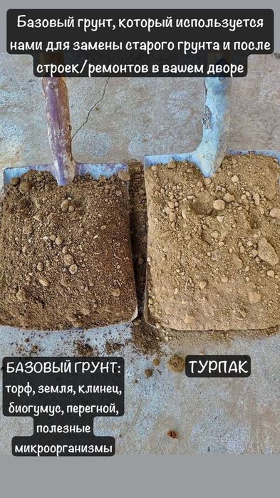 Базовый (не турпак) , плодородный, грунт, для уличных растений.