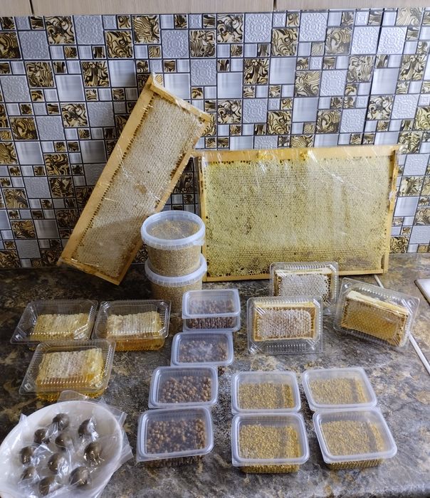 Продам мед со своей пасеки