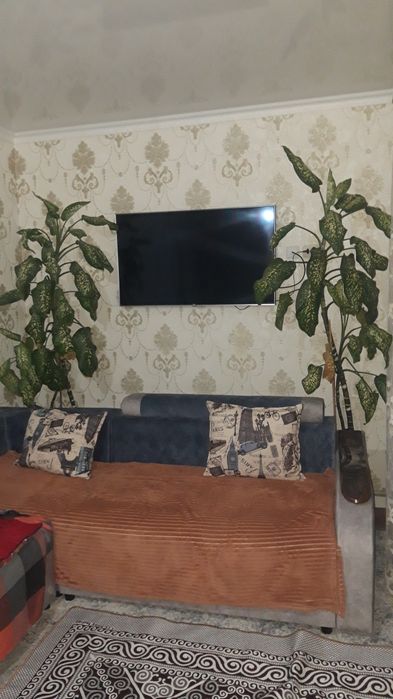 Домашние красивый цветы